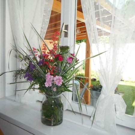 Villa Ani Gorna Kovachitsa Екстериор снимка